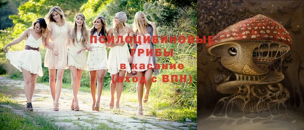 ГАЛЛЮЦИНОГЕННЫЕ ГРИБЫ Горняк