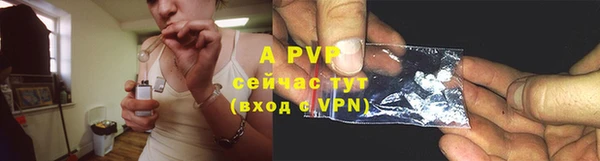 ГАЛЛЮЦИНОГЕННЫЕ ГРИБЫ Горняк