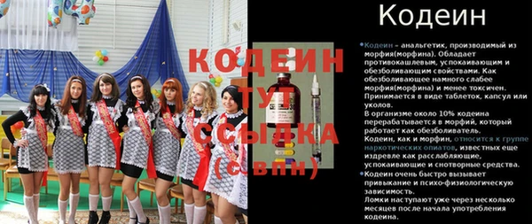 ГАЛЛЮЦИНОГЕННЫЕ ГРИБЫ Горно-Алтайск