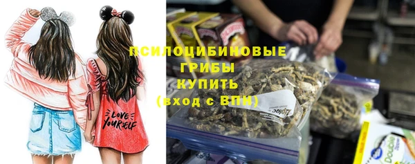 ГАЛЛЮЦИНОГЕННЫЕ ГРИБЫ Горно-Алтайск