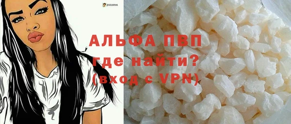 ГАЛЛЮЦИНОГЕННЫЕ ГРИБЫ Горняк